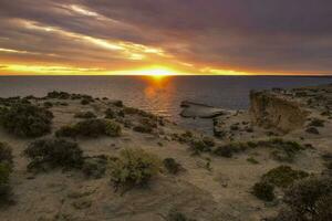 Coastal landscape in Peninsula Valdes at dusk, World Heritage Site, Patagonia Argentina photo