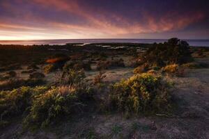 Coastal landscape in Peninsula Valdes at dusk, World Heritage Site, Patagonia Argentina photo