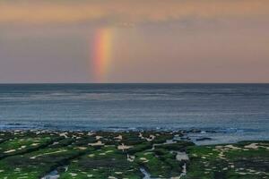 Low Tide coastal landscape in Peninsula Valdes, World Heritage Site, Patagonia Argentina photo