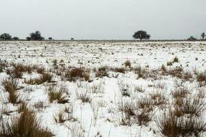 Snowy landscape in rural environment in La Pampa, Patagonia,  Argentina. photo