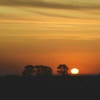 Rural sunset landscape, Buenos Aires province , Argentina photo