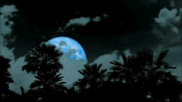 plein bleu lune Zoom dans qui passe retour gris nuage sur nuit ciel et silhouette paume arbre sur le sol video