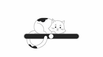 Cute cat watching bw loading bar animation. Volume slider. Wagging tail cat outline 2D cartoon character 4K video loading motion graphic. Hunting kitty animated process indicator gif isolated on white
