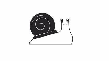 Slow snail crawling bw 2D character animation. Schnecke outline cartoon 4K video, alpha channel. Invertebrate creature with spiral shell. Cute snail race animated animal isolated on white background video