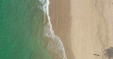 Vertical drone video on a tropical sandy beach and the sea