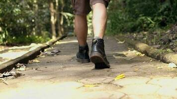 un asiático hombre es caminando en un camino en un bosque video