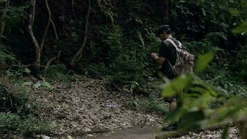 ein asiatisch Mann ist Gehen während suchen beim seine Clever Telefon im das Mitte von das Wald video