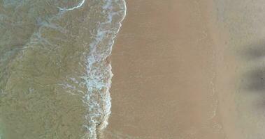 verticale drone vidéo sur une tropical sablonneux plage et le mer video