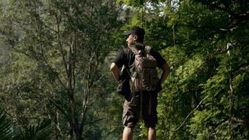 ein asiatisch Mann Stehen auf das Kante von ein Cliff während suchen beim das schön natürlich Landschaft im ein Wald video