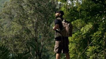 a ásia homem em pé em a Beira do uma penhasco enquanto olhando às a lindo natural cenário dentro uma floresta video