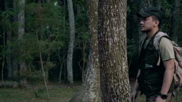un asiático hombre camina pasado un grande imponente árbol en un bosque temprano video