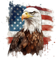 Eagle With Usa Flag Illustration png