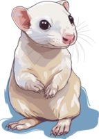 Baby Ferret Illustration png