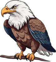 Bald Eagle Illustration png