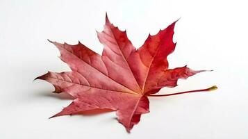 Canadá independencia día. rojo arce hoja en un blanco fondo, de cerca. ai generado. foto