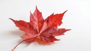 Canada Independence Day. Red maple leaf on a white background, close-up. AI generated. photo