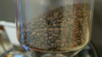 fresh coffee beans in a glass container video