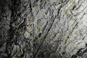 Black and white of granite stone background with mineral gold on texture photo