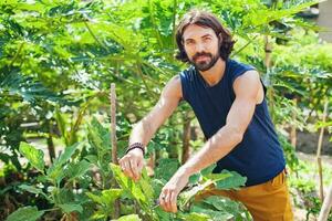 joven hombre jardinería y creciente vegetales foto