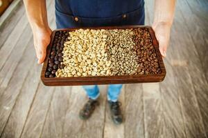 tray with coffee of different levels of roasting. Man holding coffee beans photo