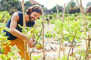 joven hombre jardinería y creciente vegetales foto