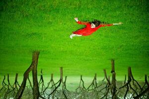 Woman in red dress laying on the grass photo