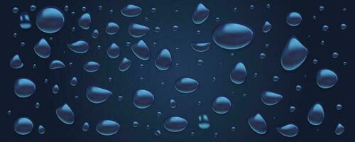 Vector realistic droplet 3d water drops isolated drips on background