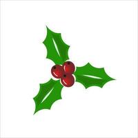 Christmas holly leaves vector