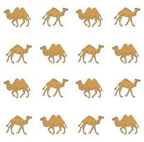 Vector seamless pattern of hand drawn camel