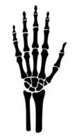 Skeleton bone hand illustrations vector