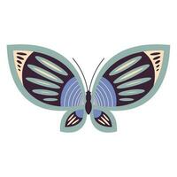 beauty gray butterfly insect icon vector