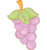 fresh grapes fruit healthy icon png