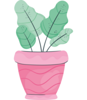 houseplant in pink pot nature icon png