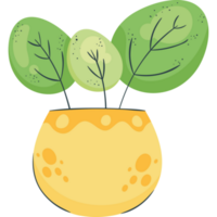 houseplant in yellow vase icon png