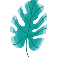 tropical leaf exotic foliage icon png