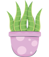 houseplant in purple pot icon png