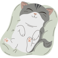 söt grå katt sovande png