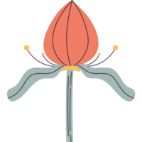exotic flower garden nature icon png