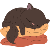 negro gato dormido en almohadas png