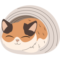 gato dormindo dentro ninho png