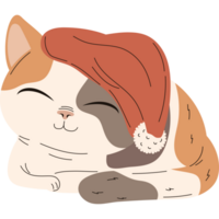 chat en train de dormir avec chapeau png