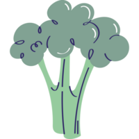 färsk broccoli vegetabiliska friska mat png