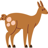 cute fawn wild animal character png