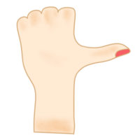 ilustración de gesto de mano png