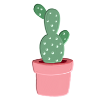 Indoor plants decoration png