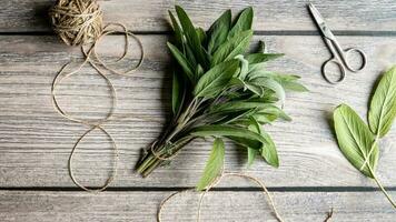 Bunch of green sage leaves on gray wooden table, herbs scissors string flat lay, overhead view photo