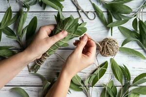 Sage leaf bundle in hands, hemp string and scissors on old wooden table photo