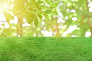 Green grass field over bokeh nature background. photo