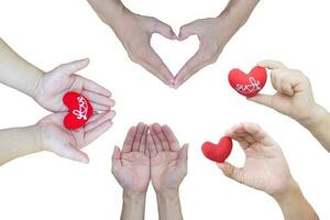 Set of heart in different hand isolated on white background. Object with clipping path photo