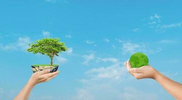 Hand holding globe earth and tree on sky nature background. Eco earth day concept. photo